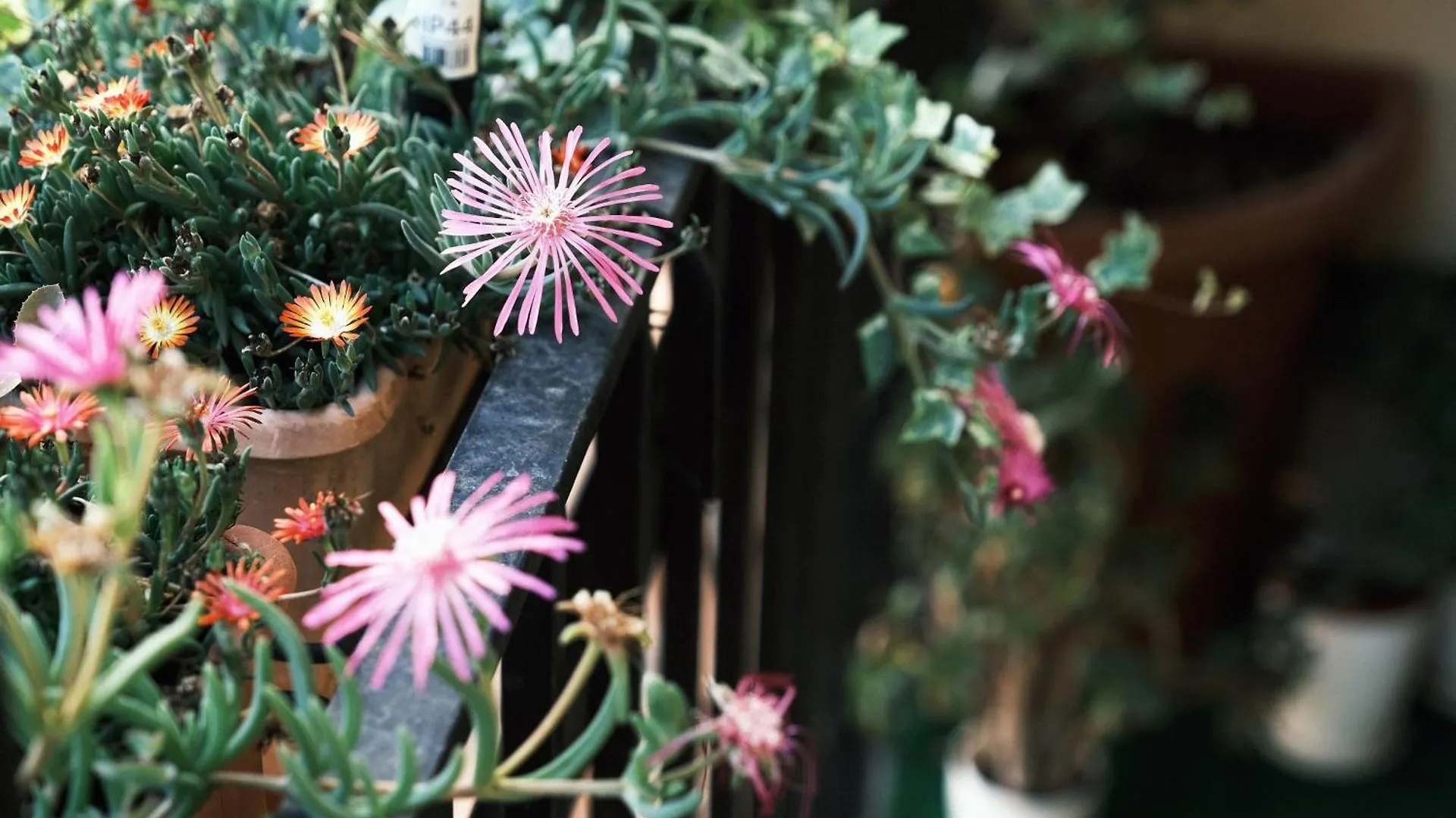 Comecasa Flowery Terraced Apartment Milan